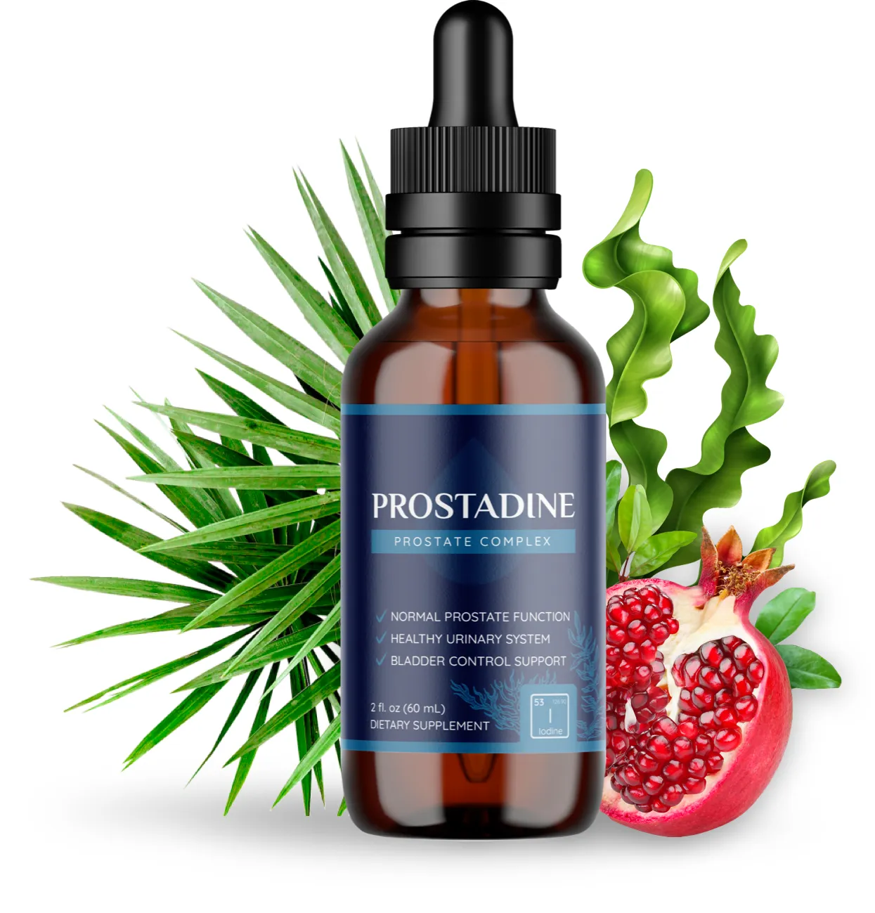 lodo prostadine
